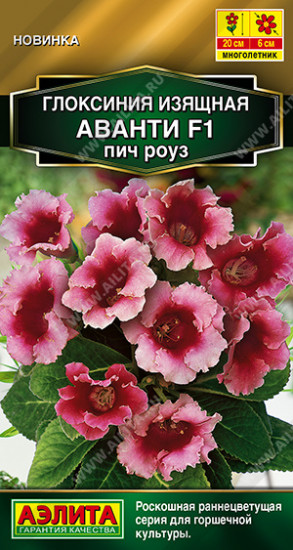 Семена глоксинии «Аванти F1 пич роуз»