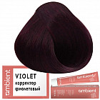 фиолетовый