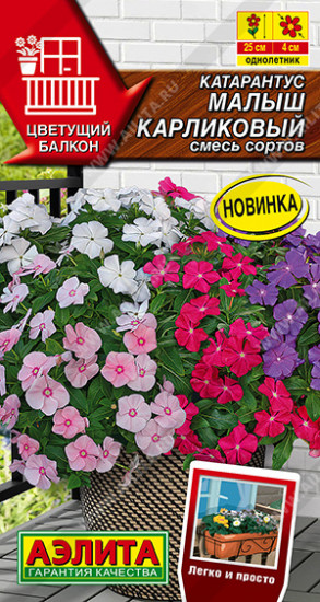 Семена катарантуса, смесь сортов «Малыш карликовый»