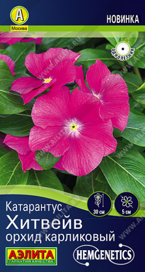 Семена катарантуса «Хитвейв орхид карликовый»