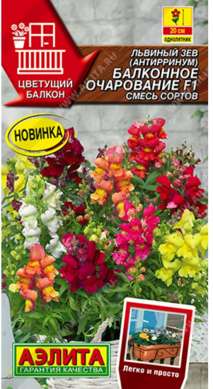Семена львиного зева, смесь сортов «Балконное очарование F1»