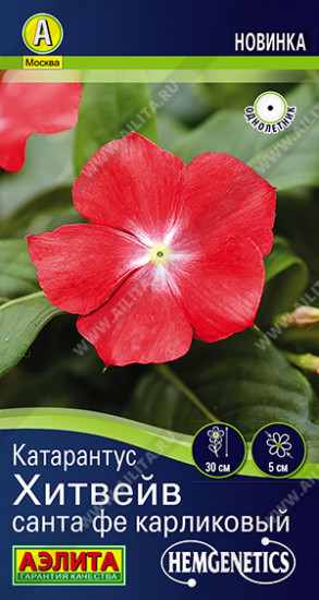 Семена катарантуса «Хитвейв санта фе карликовый»