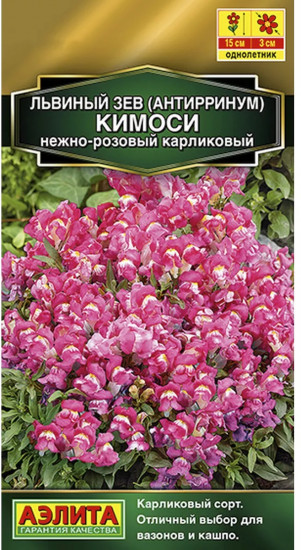 Семена львиного зева «Кимоси нежно-розовый карликовый»