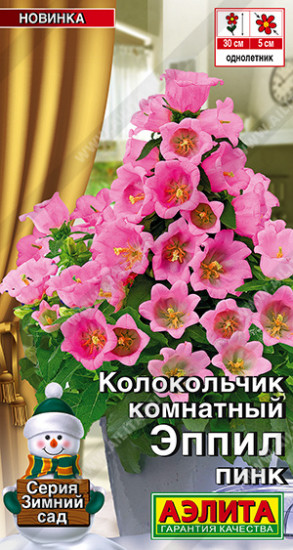 Семена колокольчика комнатного «Эппил пинк»