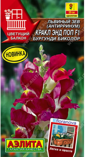 Семена львиного зева «Кракл энд поп F1 бургунди биколор»