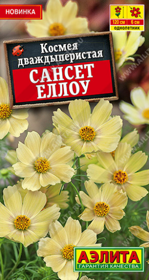 Семена космеи «Сансет еллоу»