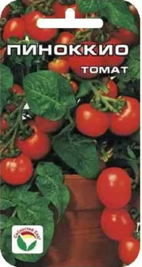 Томат «Пиноккио»