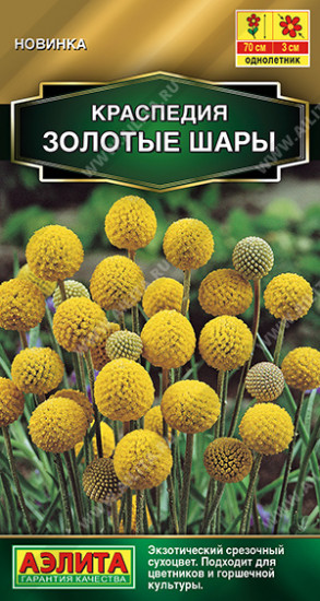 Семена краспедии «Золотые шары»