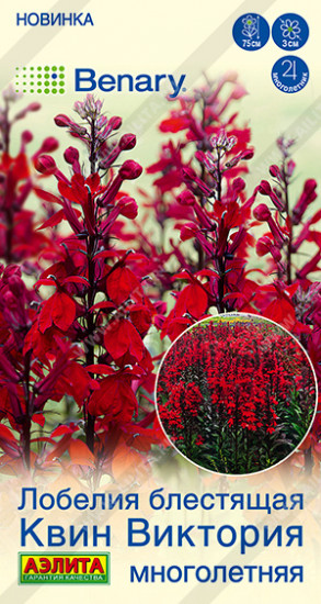 Семена лобелии «Квин Виктория»