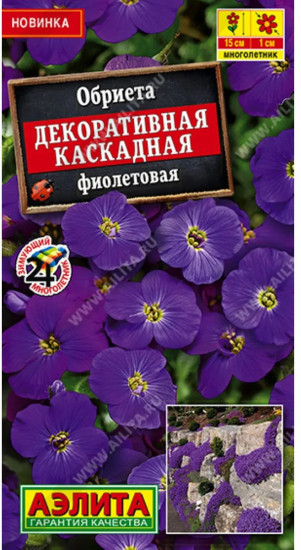 Семена обриеты «Декоративная каскадная фиолетовая»