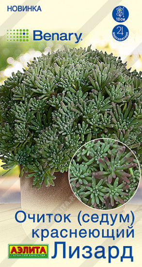 Семена очитка(седума) краснеющего «Лизард»