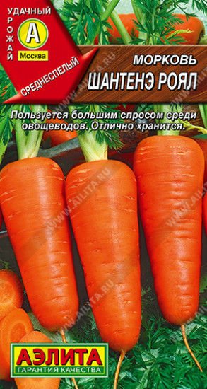 Семена моркови «Шантенэ Роял»