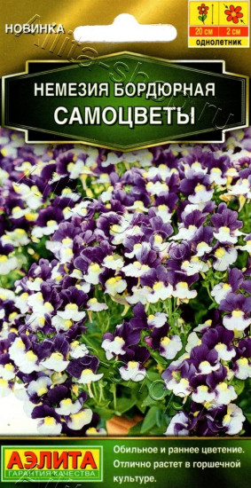 Семена немезии бордюрной «Самоцветы»