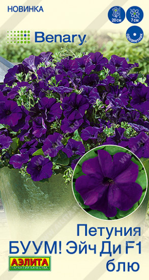 Семена петунии многоцветковой «БУУМ! Эйч Ди F1 Блю»