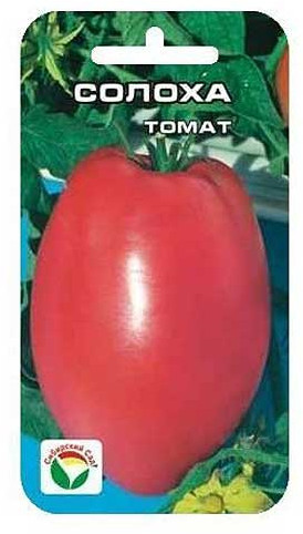 Семена томата «Солоха»