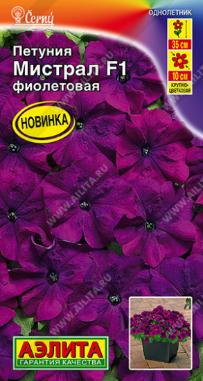 Семена петунии крупноцветковой «Мистрал F1 фиолетовая»