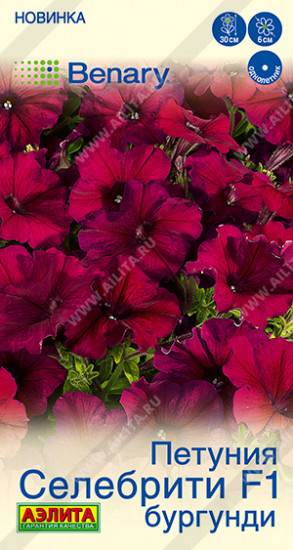 Семена петунии многоцветковой «Селебрити F1 бургунди»