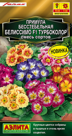 Семена примулы «Белиссимо F1 турбоколор, смесь сортов»