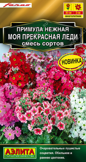 Семена примулы «Моя прекрасная леди, смесь сортов»