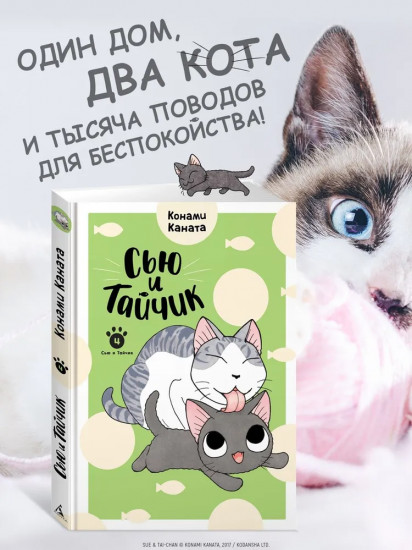 Сью и Тайчик. Книга 4