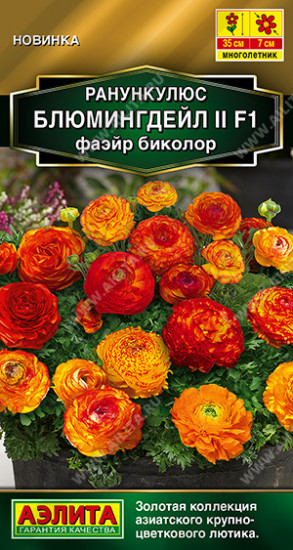 Семена ранункулюса «Блюмингдейл II F1 фаэйр биколор»