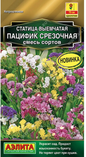 Семена статицы, смесь сортов «Пацифик срезочная»