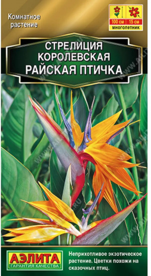 Семена стрелиции королевской «Райская птичка»