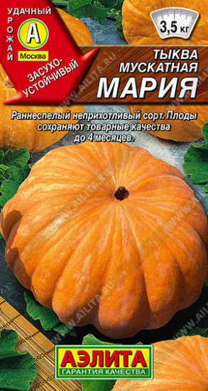Семена тыквы мускатной «Мария»