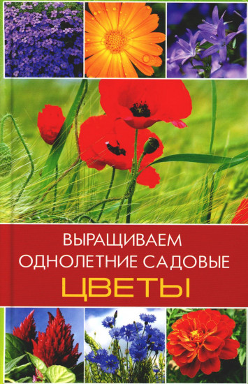 Выращиваем однолетние садовые цветы