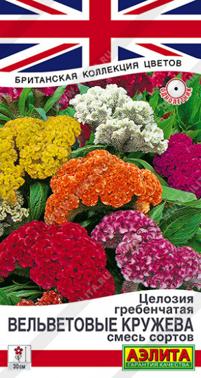 Семена целозии гребенчатой «Вельветовые кружева, смесь сортов»
