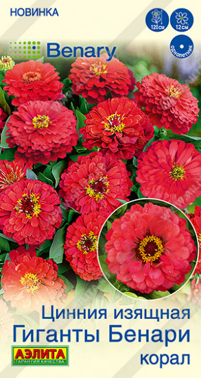 Семена циннии «Гиганты Бенари корал»