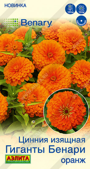 Семена циннии «Гиганты Бенари оранж»