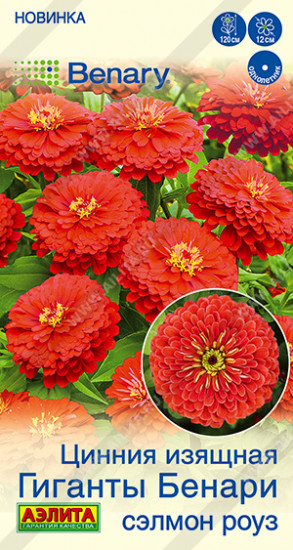 Семена циннии «Гиганты Бенари сэлмон роуз»