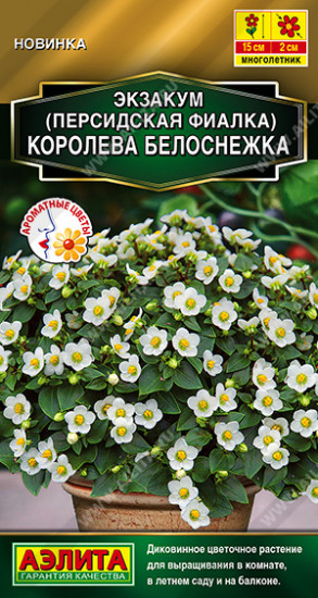 Семена экзакума(персидской фиалки)«Королева белоснежка»