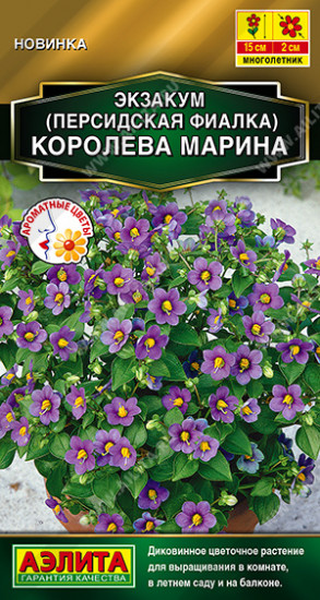 Семена экзакума(персидской фиалки) «Королева марина»