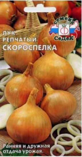 Лук репчатый «Скороспелка»