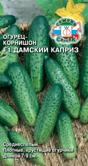 Семена огурца-корнишон «F1 Дамский каприз»