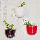 Набор мини-кашпо «Pocket» ( красный, белый, черный)