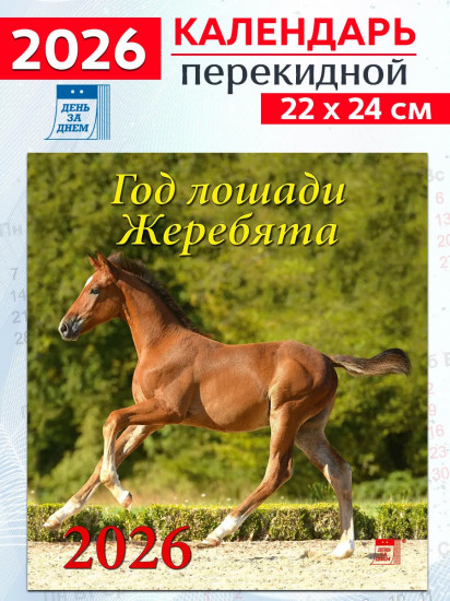 Календарь настенный на 2026 год «Год лошади. Жеребята»