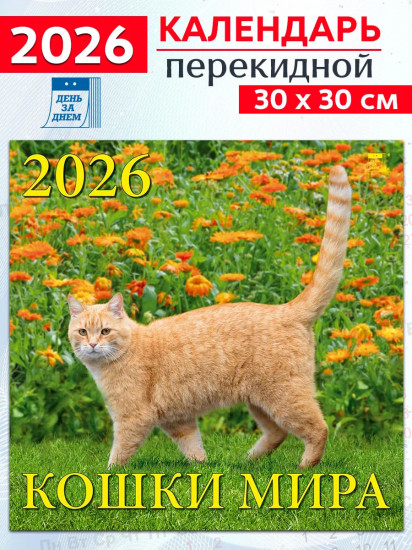 Календарь настенный на 2026 год «Кошки мира»