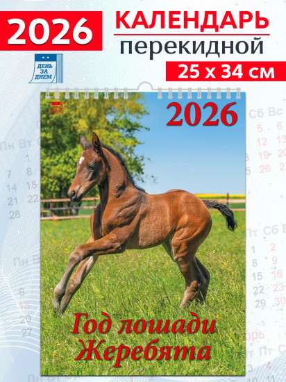 Календарь настенный на 2026 год «Год лошади. Жеребята»