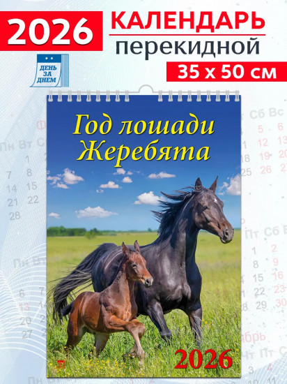 Календарь настенный на 2026 год «Год лошади. Жеребята»