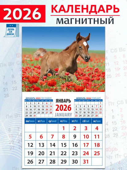 Календарь на магните на 2026 год «Год лошади. Жеребенок среди маков»