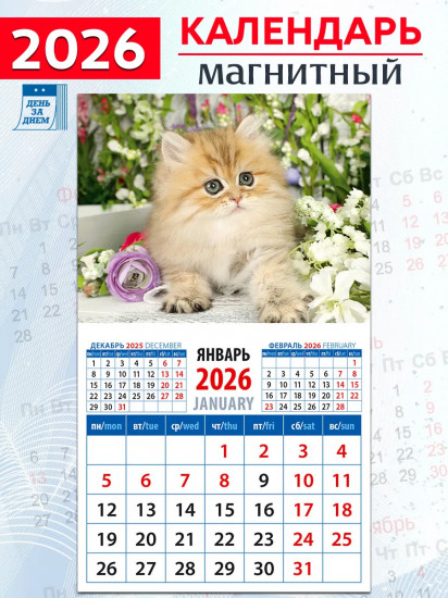 Календарь на магните на 2026 год «Очаровательный котенок»