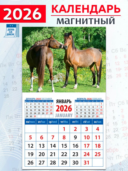 Год лошади. Сладкая парочка