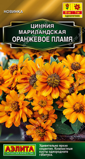 Семена циннии мариландской «Оранжевое пламя»