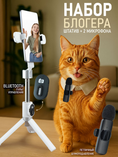 Штатив с петличными микрофонами