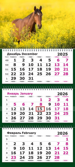 Календарь квартальный на 2026 год «Символ года. Лошадь»