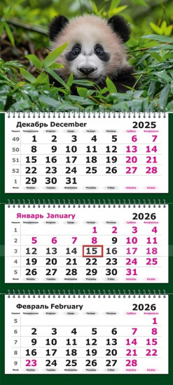 Календарь квартальный на 2026 год «Панда стиль»