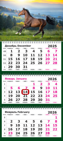 Календарь квартальный на 2026 год «Символ Года. Лошадь на свободе»
